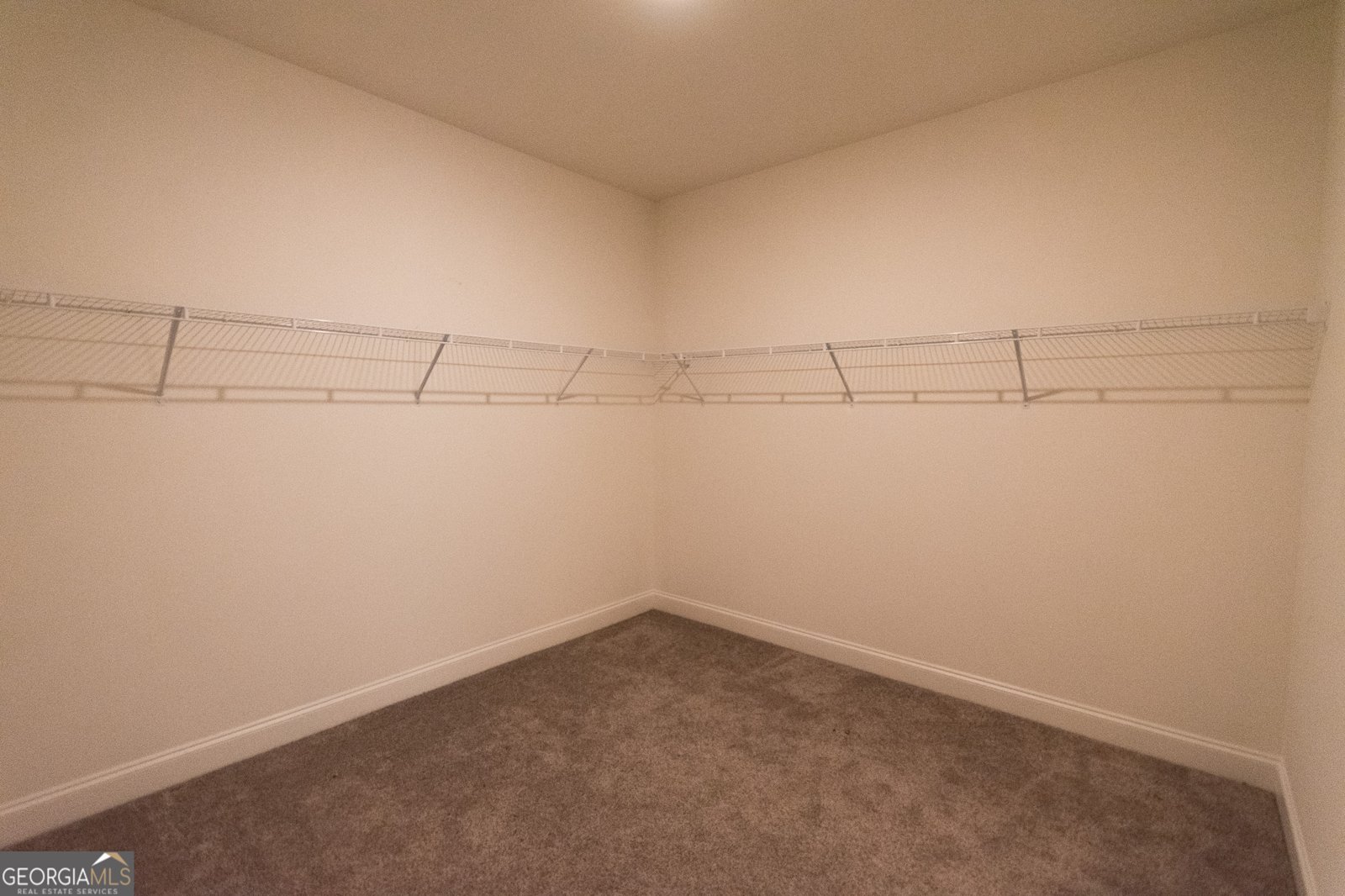 298 Walden Pond Trail Senoia - 28