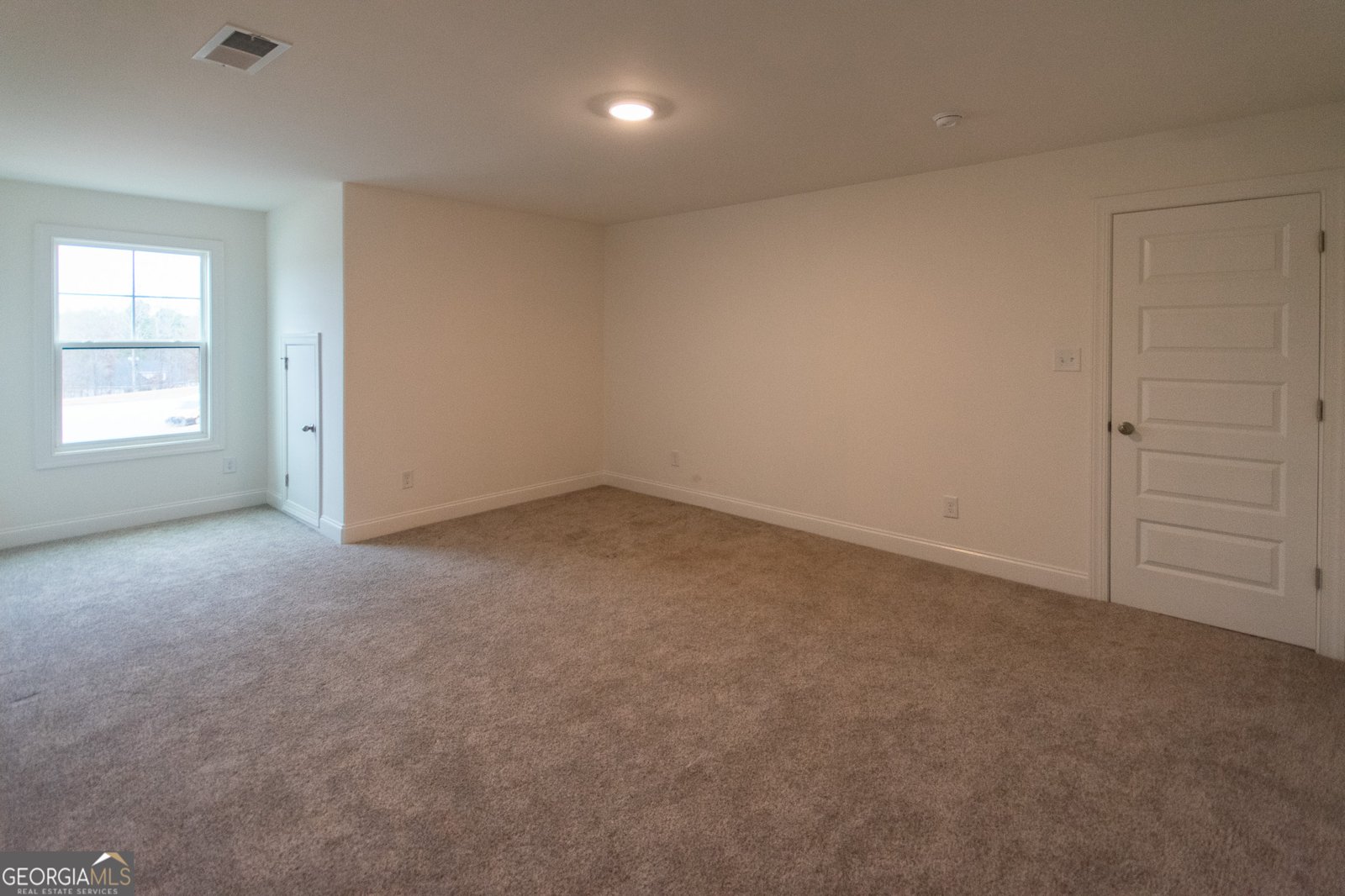 298 Walden Pond Trail Senoia - 37