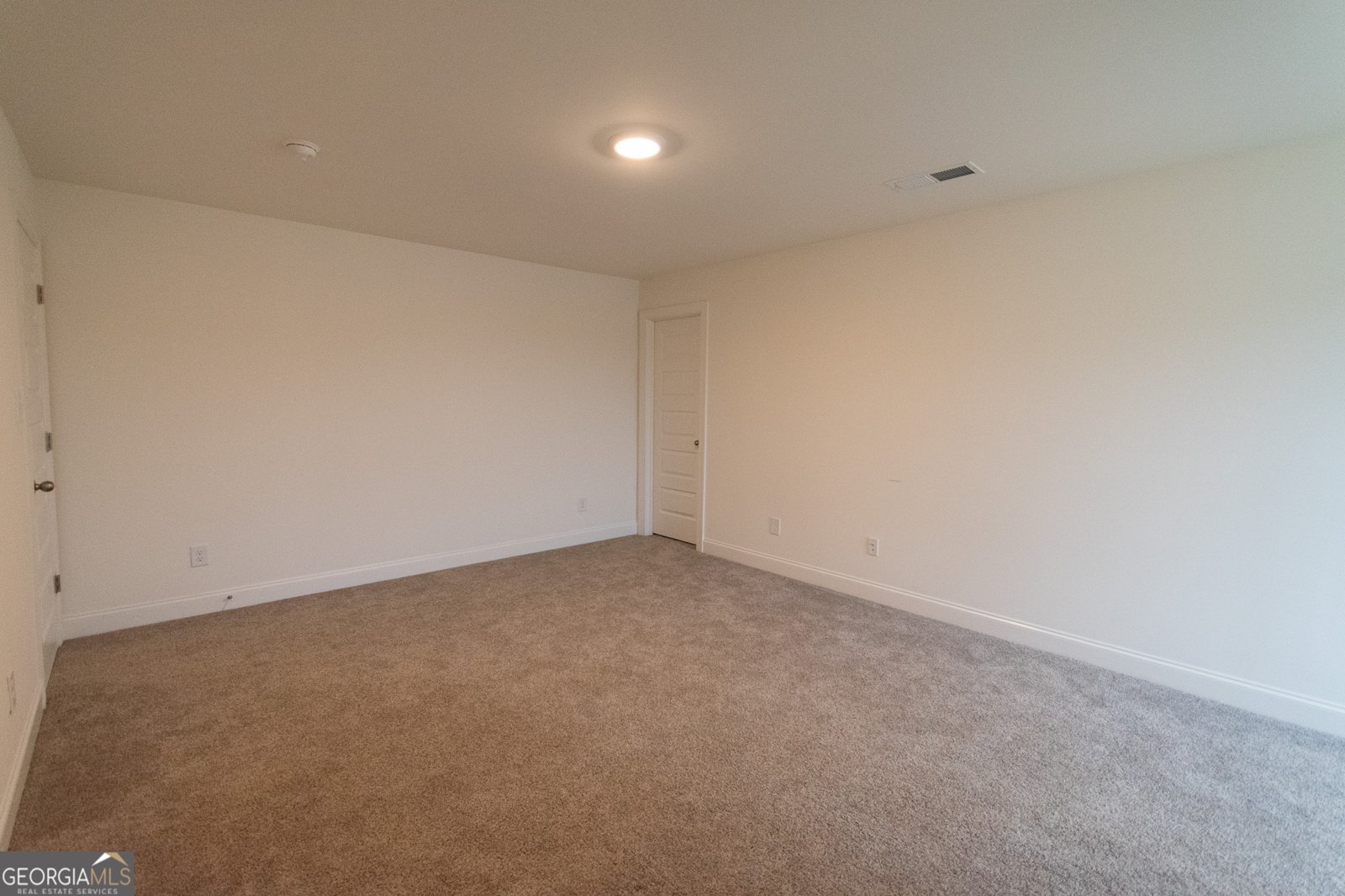 298 Walden Pond Trail Senoia - 38