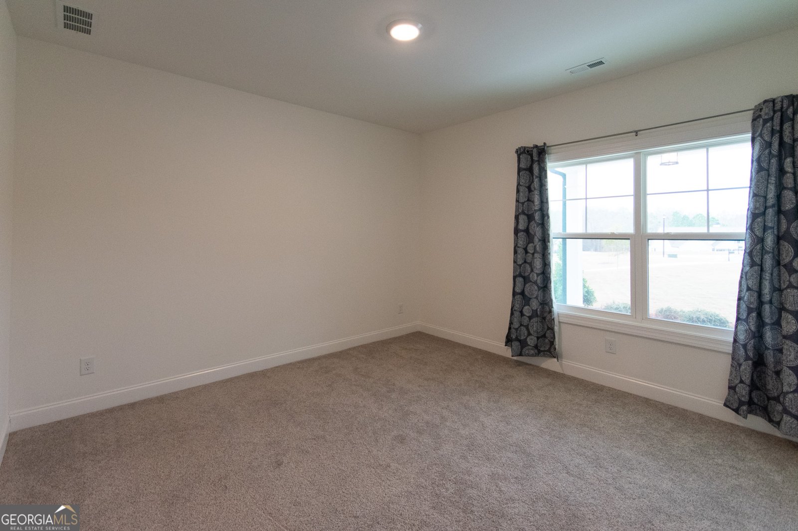 298 Walden Pond Trail Senoia - 39