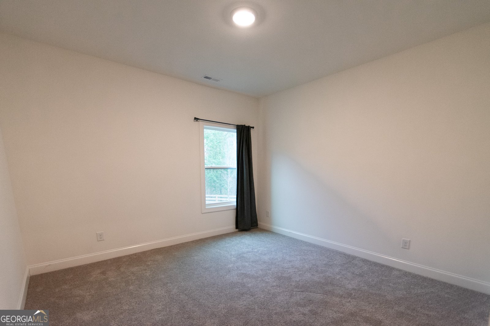 298 Walden Pond Trail Senoia - 43