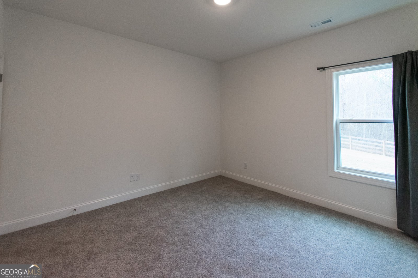 298 Walden Pond Trail Senoia - 44