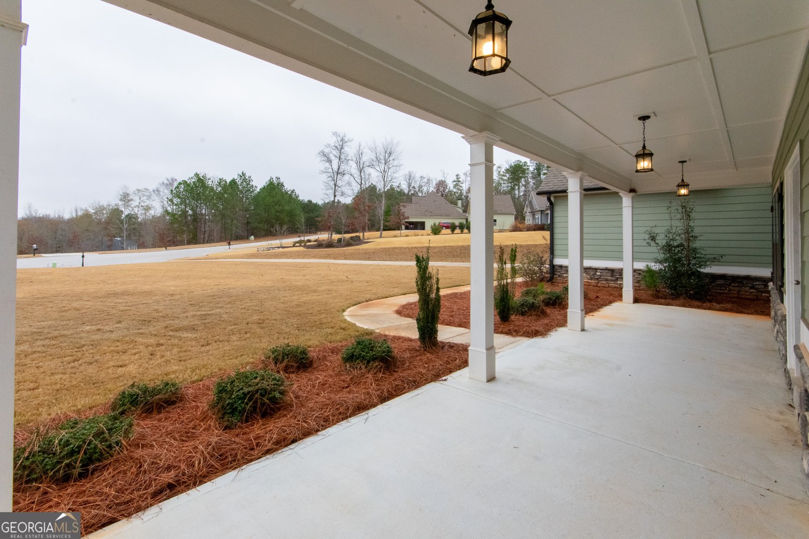 298 Walden Pond Trail Senoia - 7