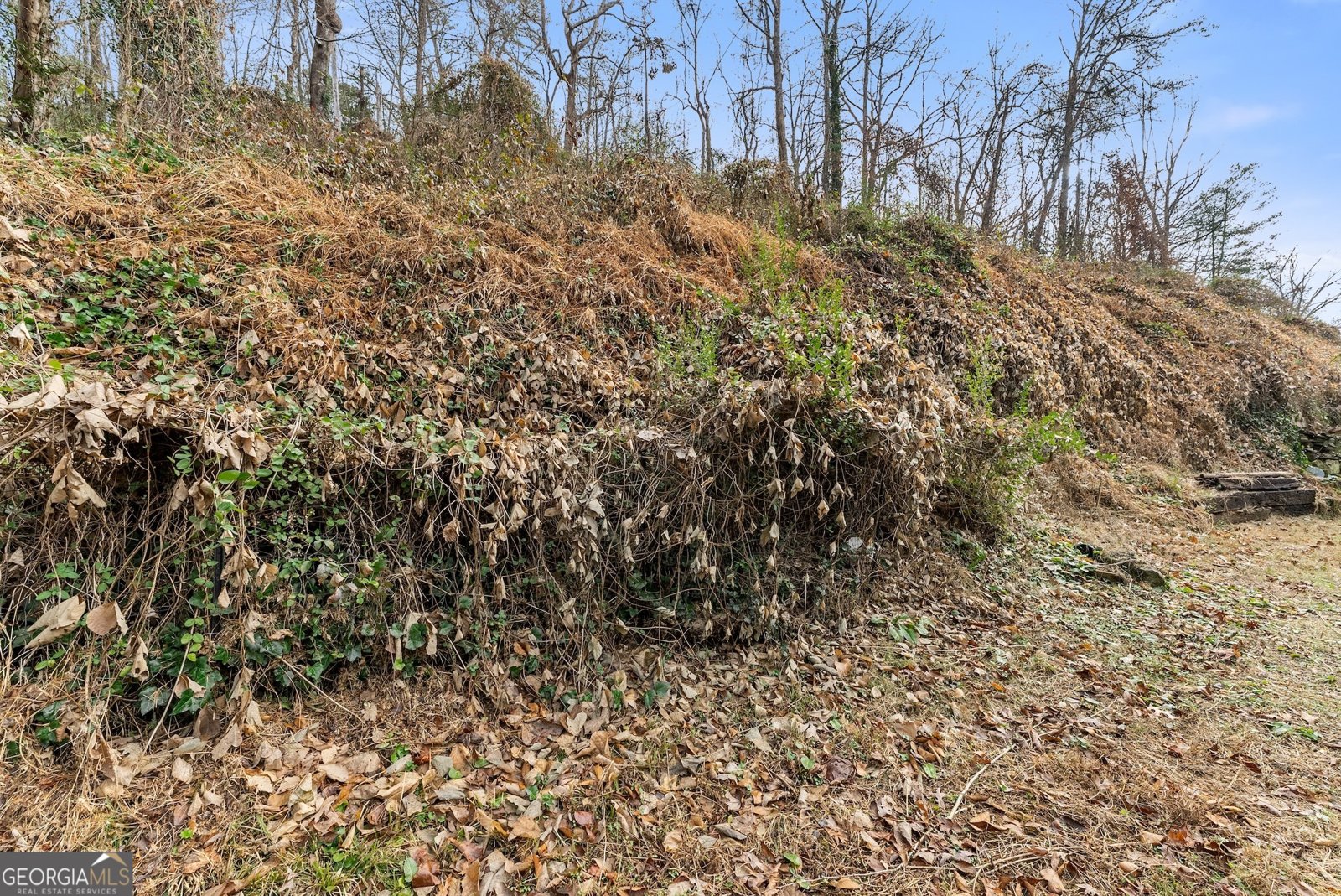 7 Dry Pond Drive Clayton - 36