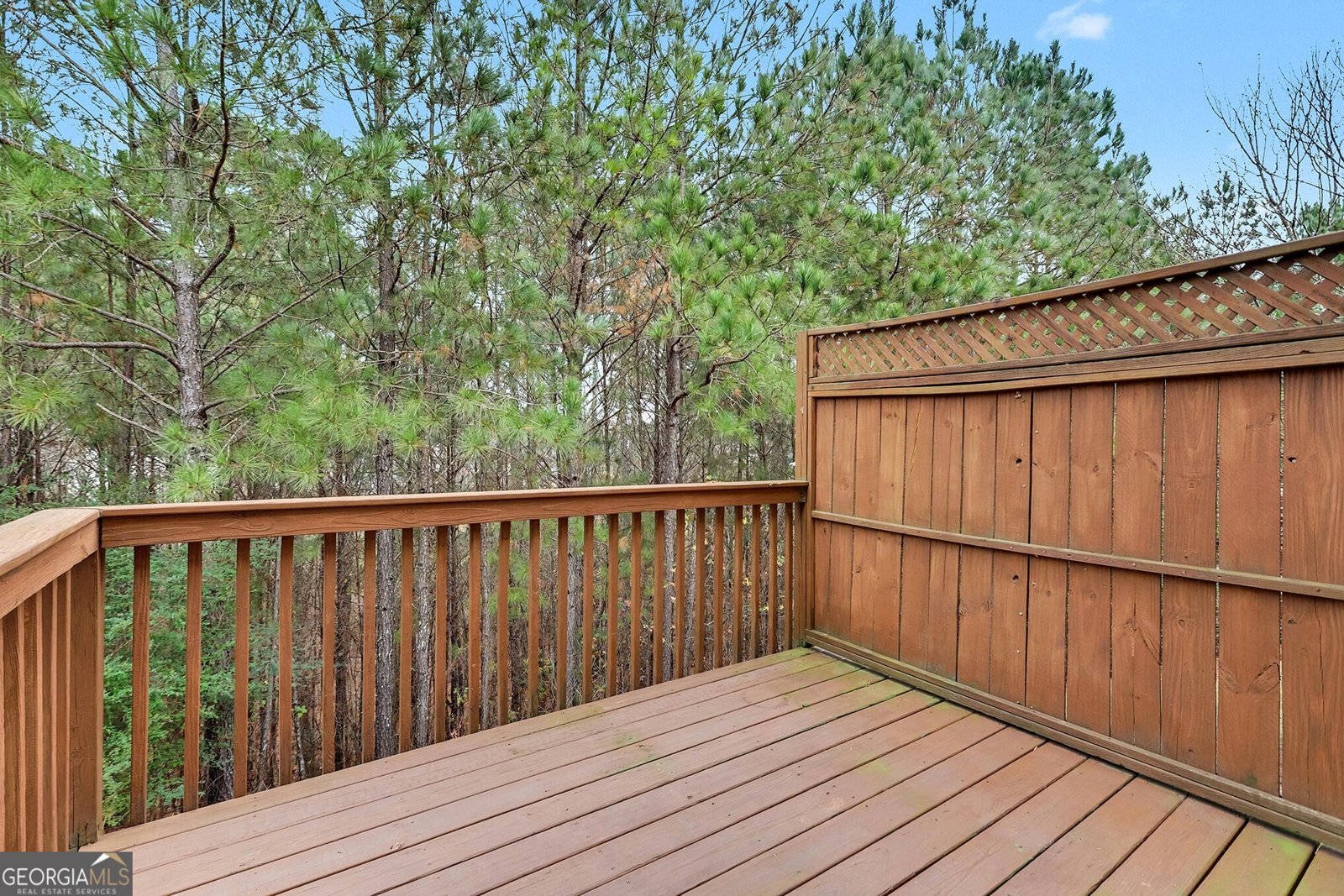 221 Stone Park Drive Woodstock - 32