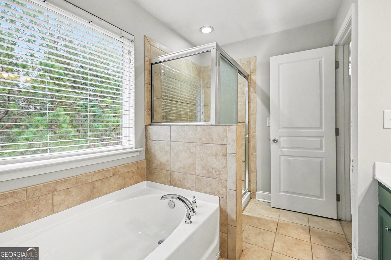 221 Stone Park Drive Woodstock - 6