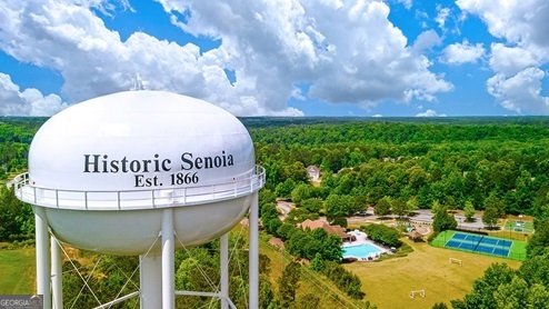 350 Staffin Drive Senoia - 45