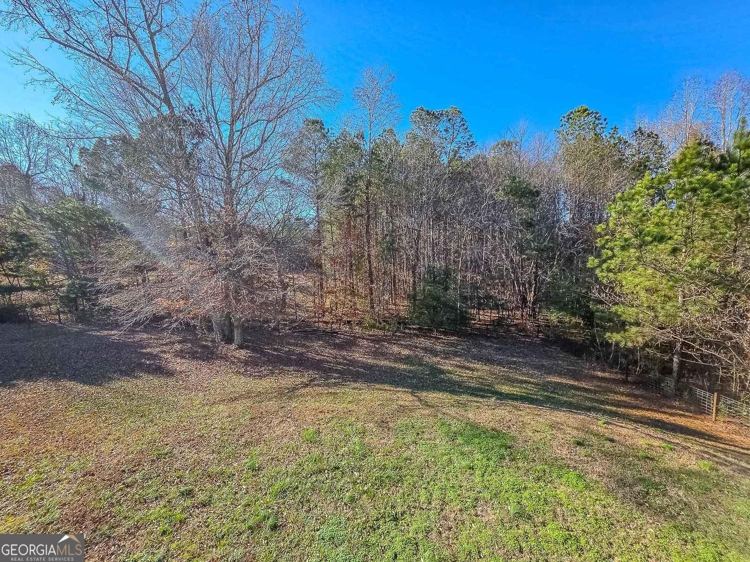 123 Willow Springs Drive Dallas - 36