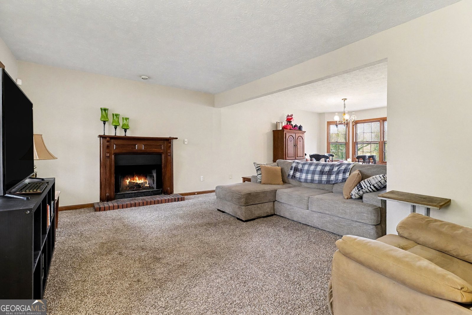 9133 Snipe Lane Jonesboro - 12