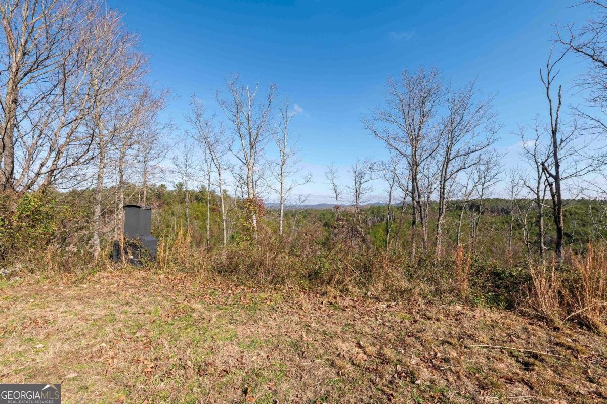 946 Hightower Loop Road Ranger - 22