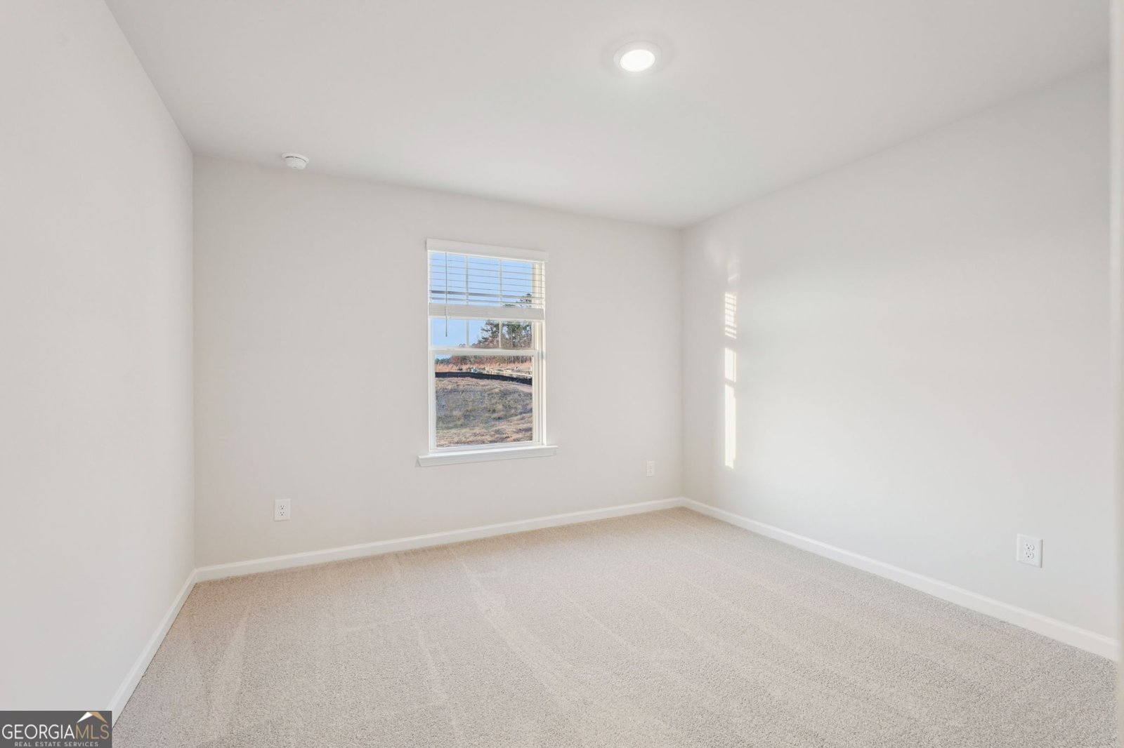 7204 Ensemble Court Fairburn - 44