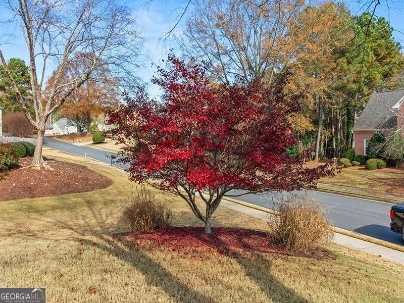 10530 Branham Fields Johns Creek - 70