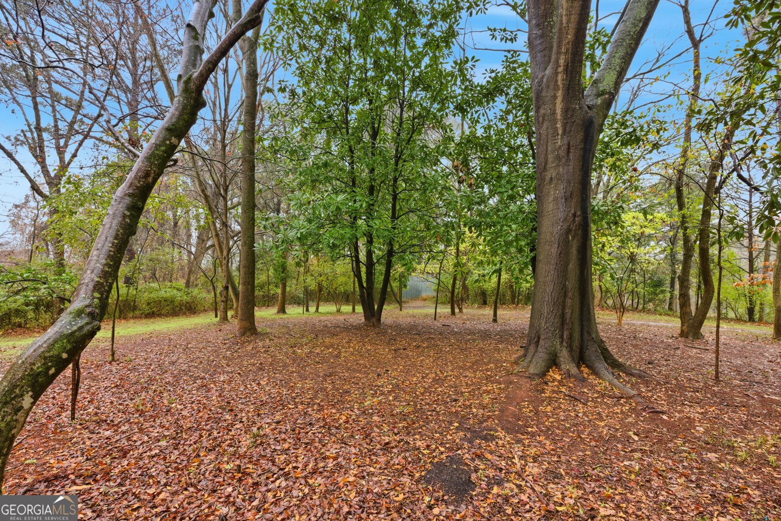 2569 Riverbend Road Athens - 49