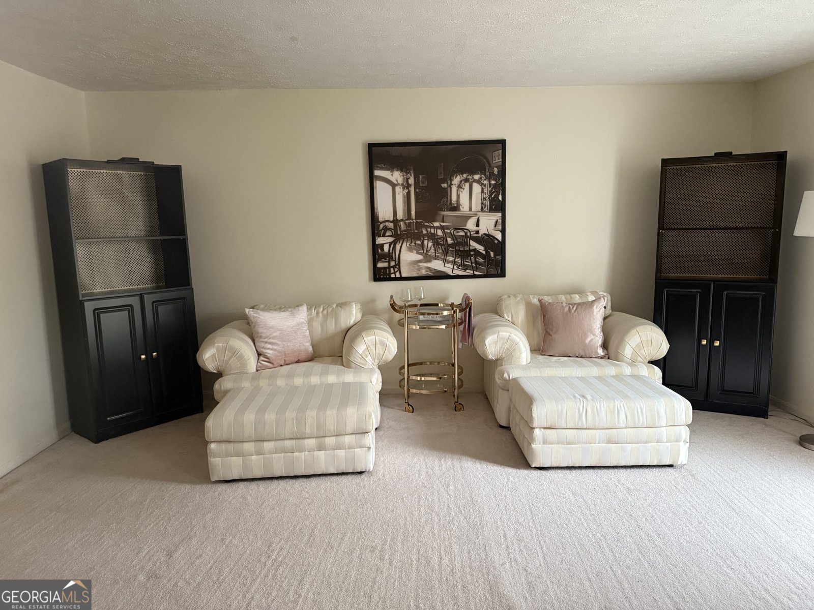 4620 S. Stratford Oaks Drive Macon - 16