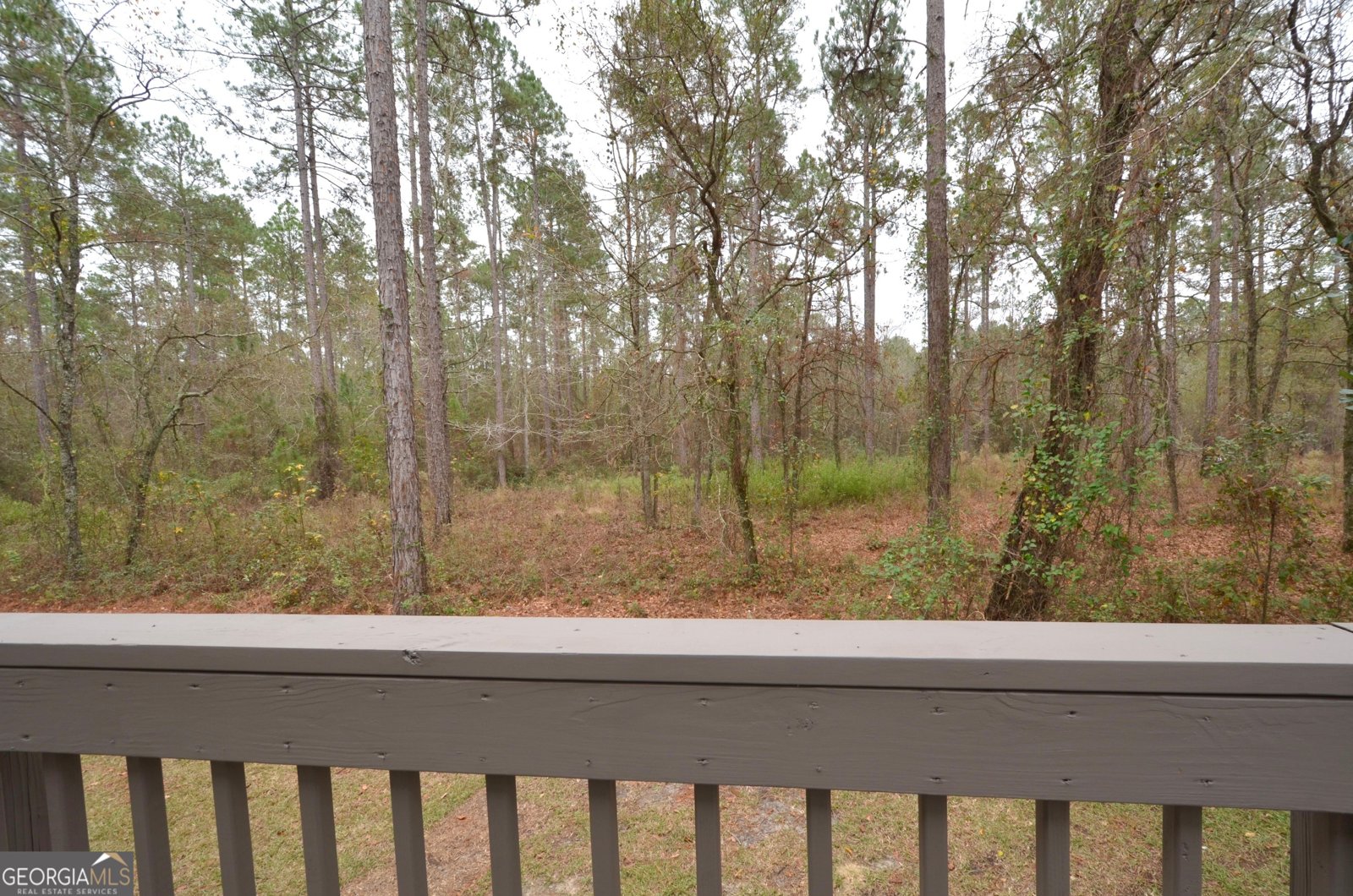 438 Highland Lakes Drive Eastman - 13