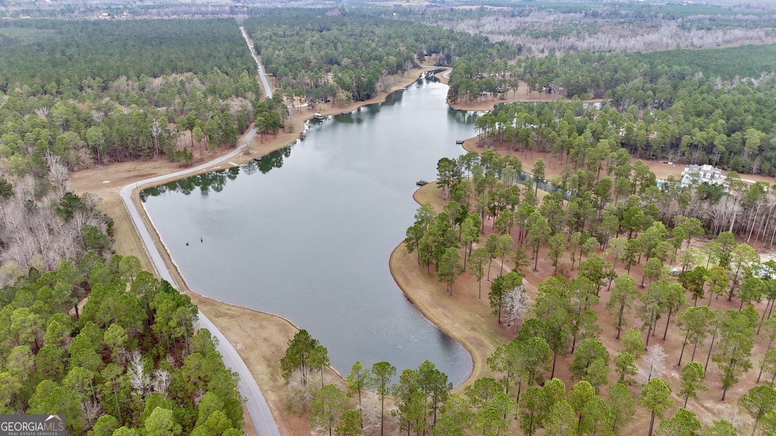 438 Highland Lakes Drive Eastman - 15