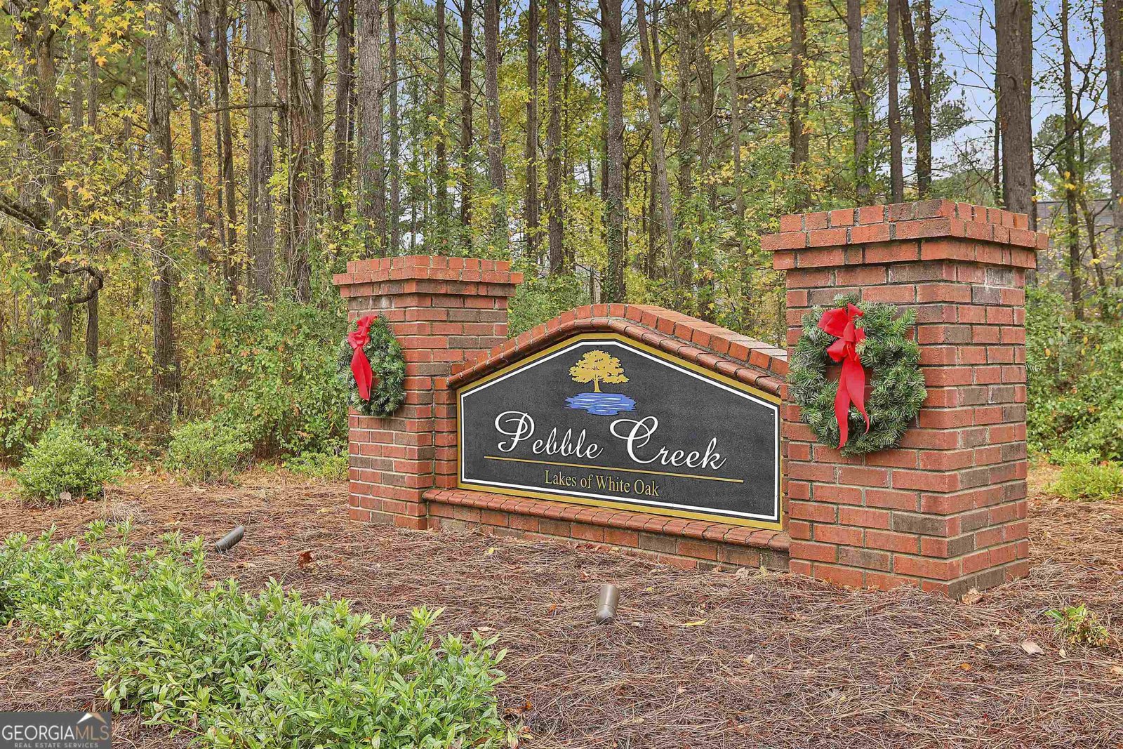 53 Pebble Creek Drive Newnan - 36