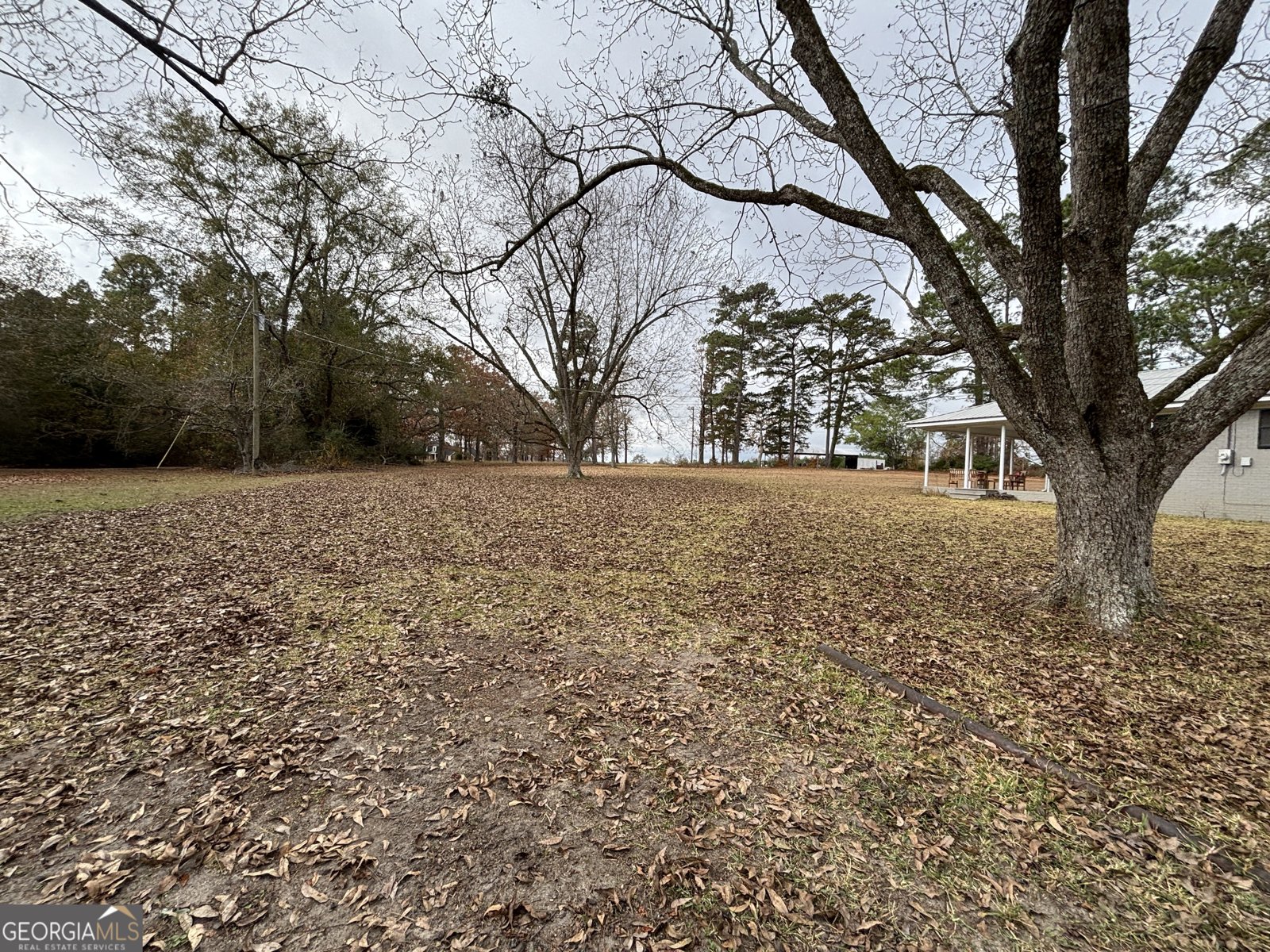 448 Ruth Church Road Cochran - 59