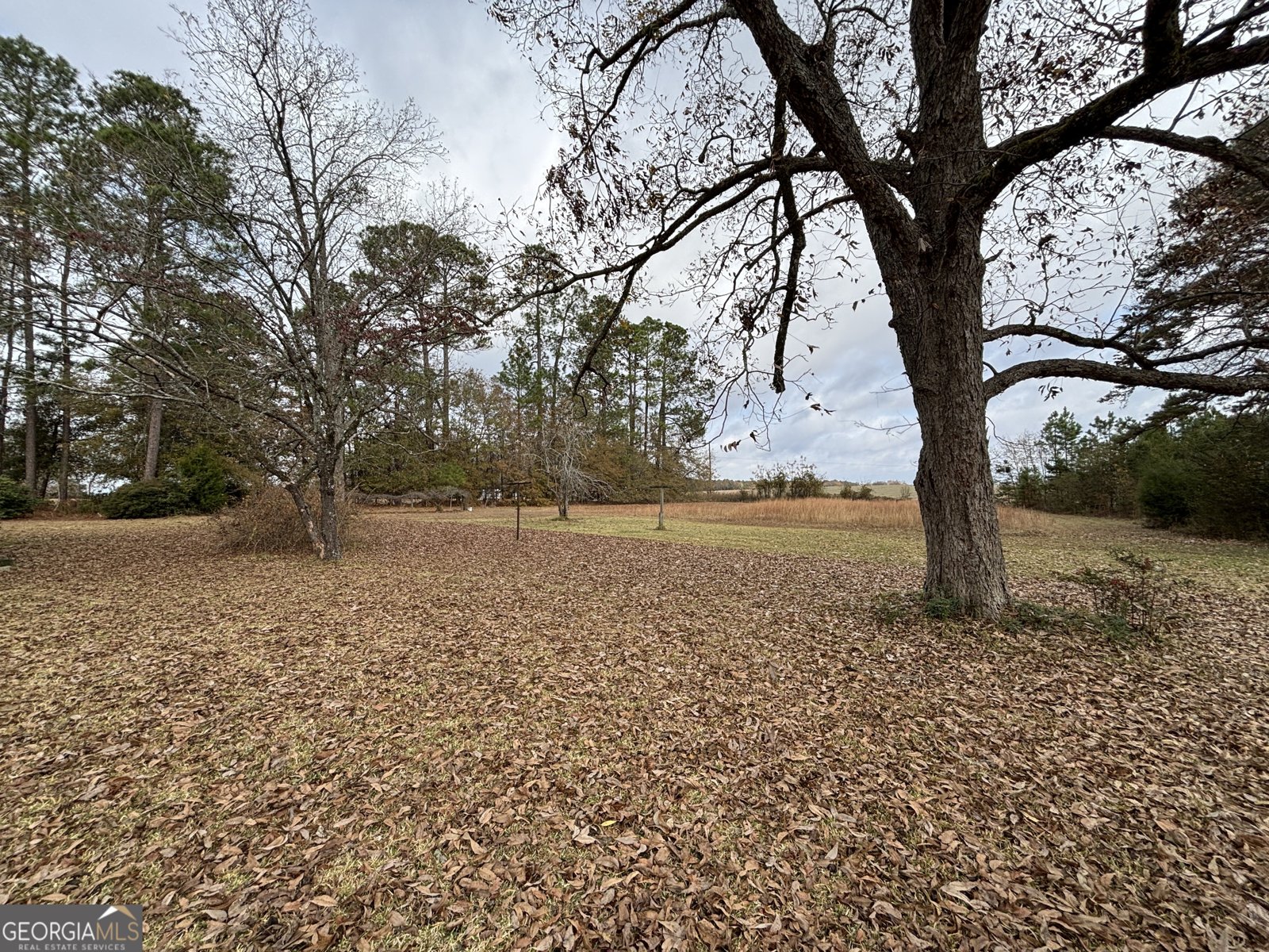 448 Ruth Church Road Cochran - 62