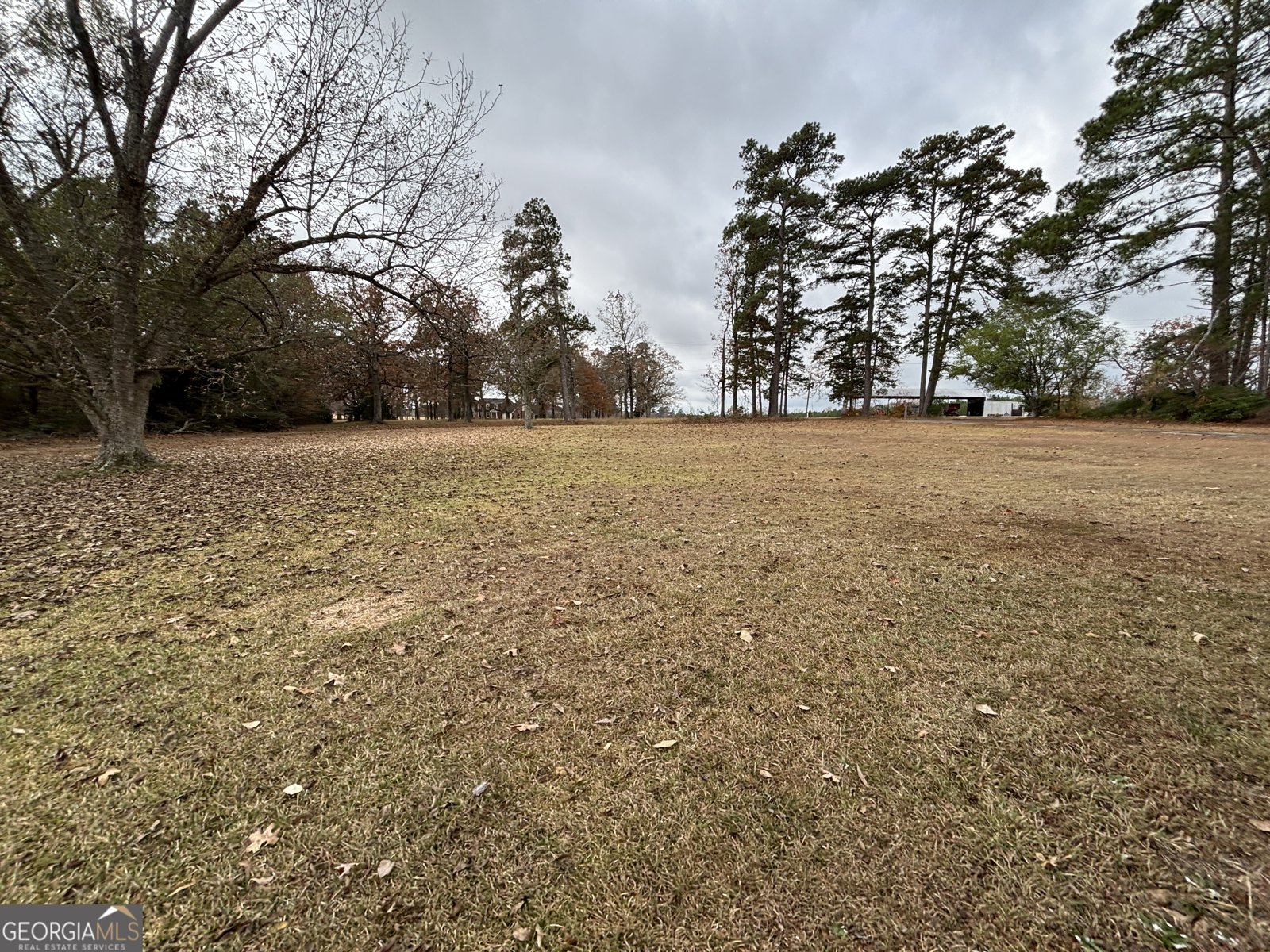 448 Ruth Church Road Cochran - 64