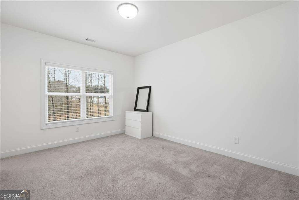 3180 Andover Street Cumming - 19