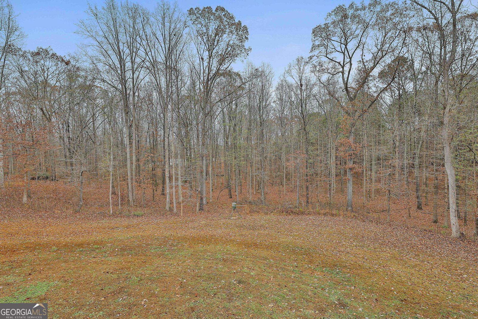 1234 Haynie Road Moreland - 46