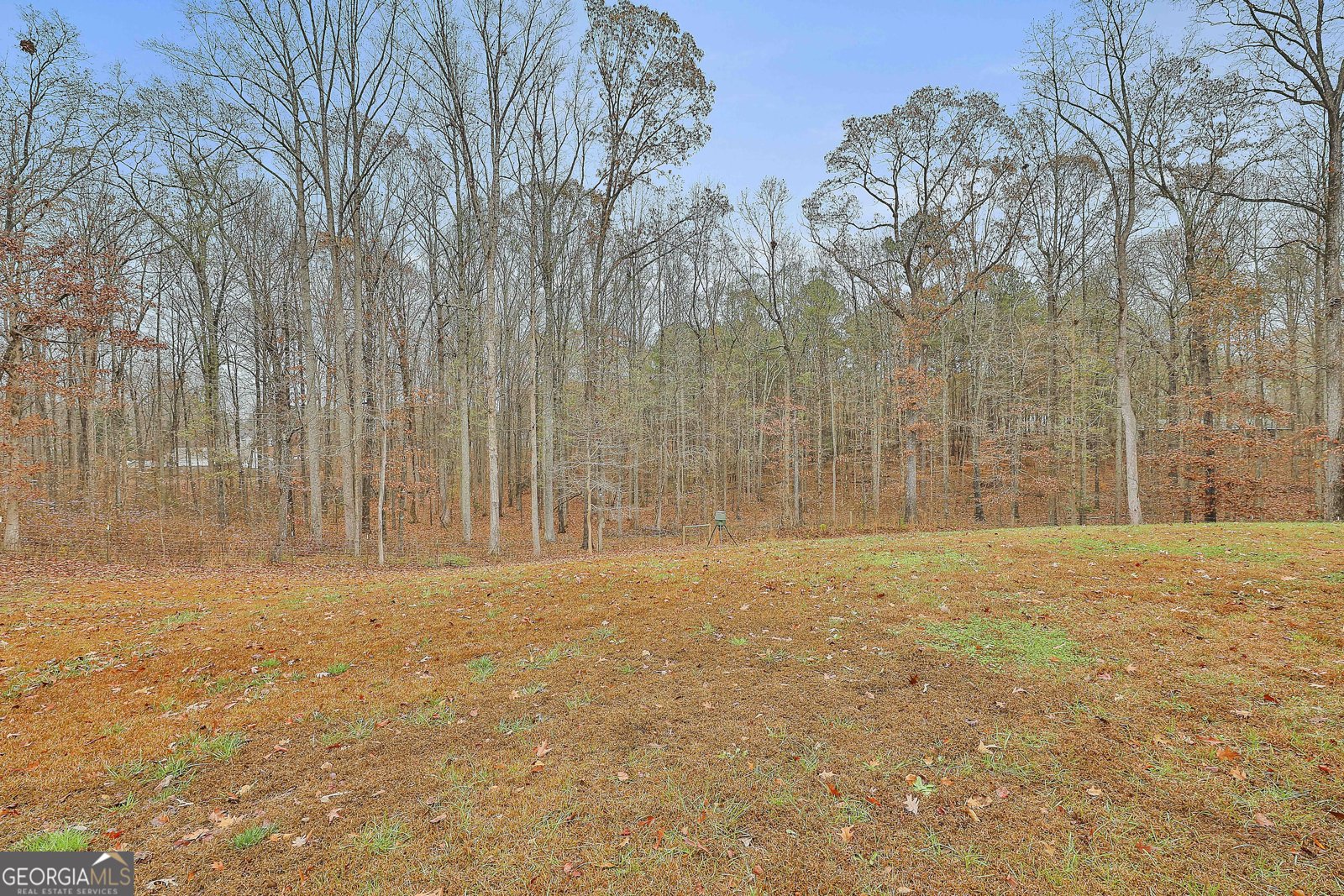 1234 Haynie Road Moreland - 57