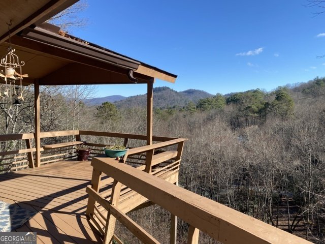 373 Western Way Rabun Gap - 11
