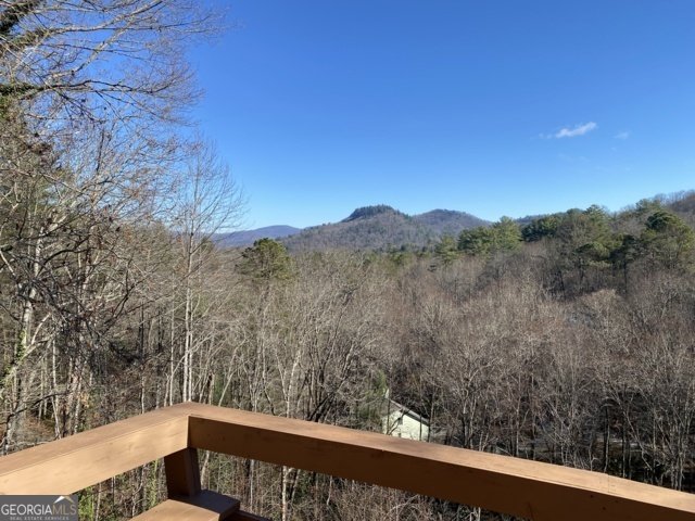 373 Western Way Rabun Gap - 13