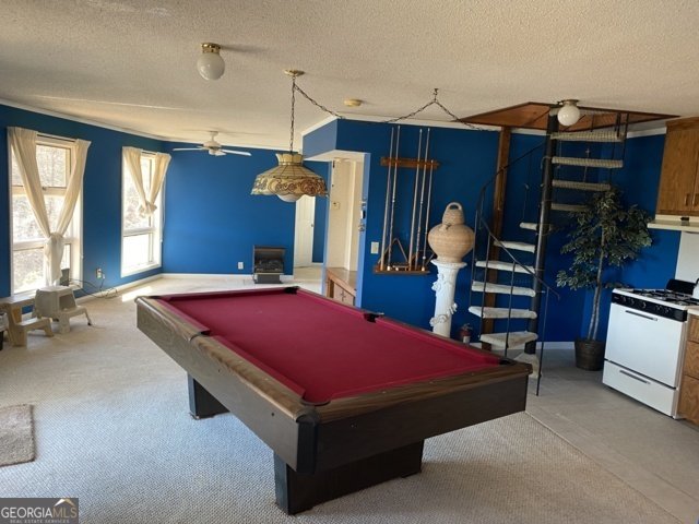 373 Western Way Rabun Gap - 22