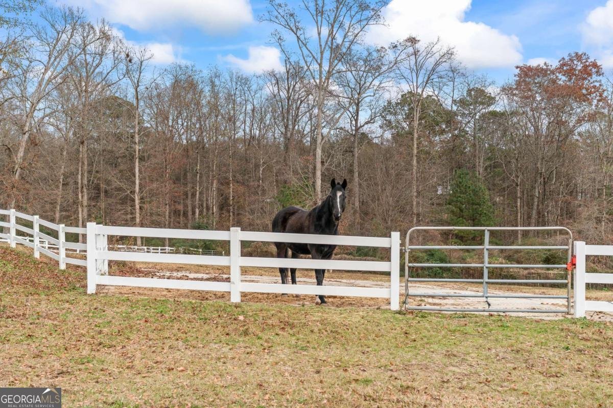 2150 Smyrna Ridge Court Conyers - 4