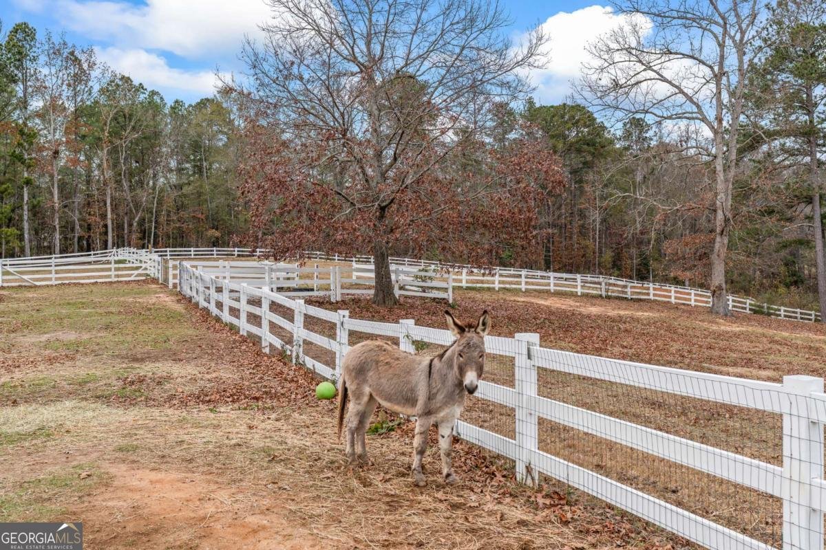 2150 Smyrna Ridge Court Conyers - 5