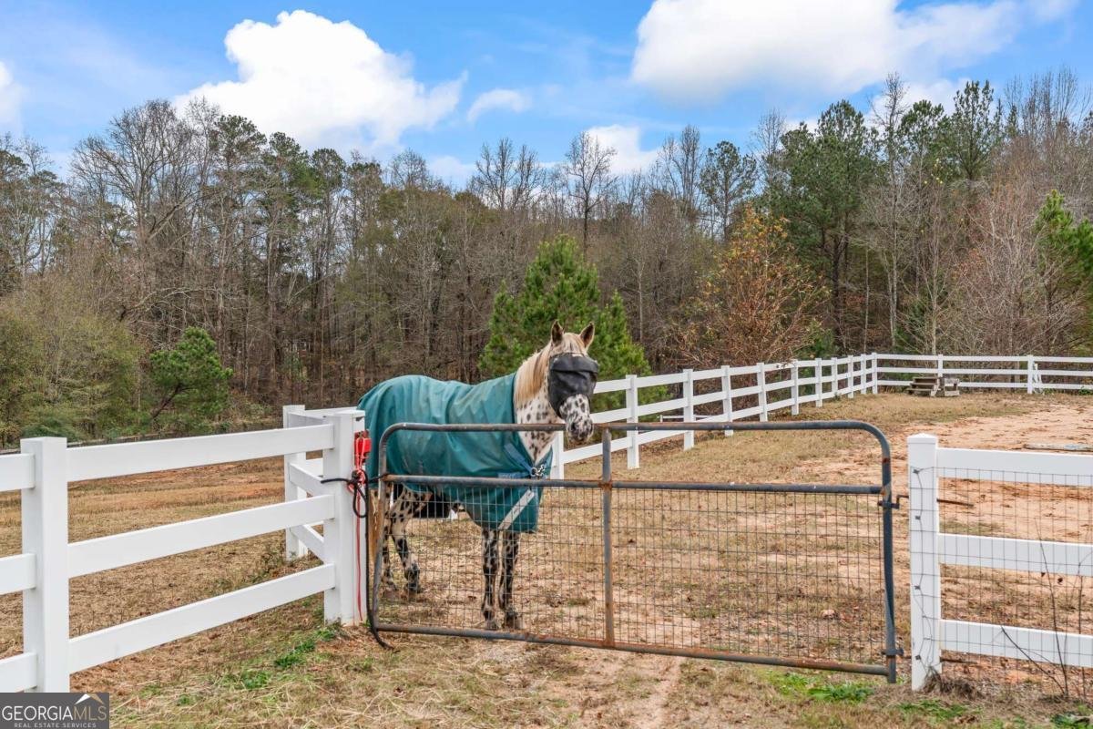 2150 Smyrna Ridge Court Conyers - 62