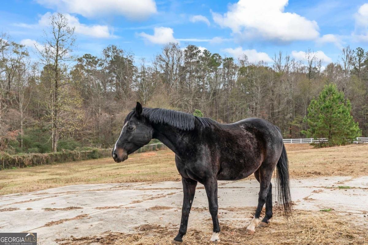 2150 Smyrna Ridge Court Conyers - 83