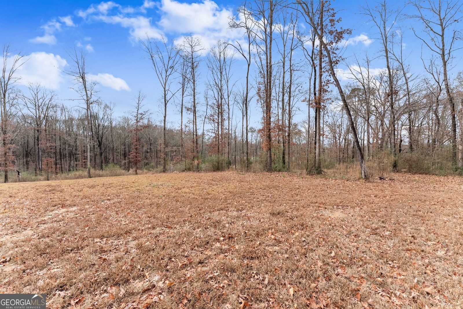 24302 Highway 59 Commerce - 38