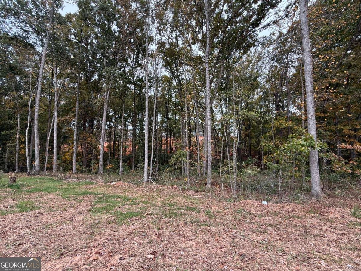 3229 TRADITIONS Way Jefferson - 39