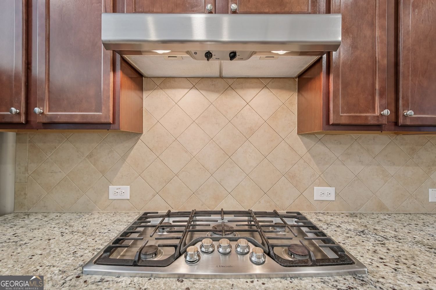 4480 Egret Avenue Cumming - 14