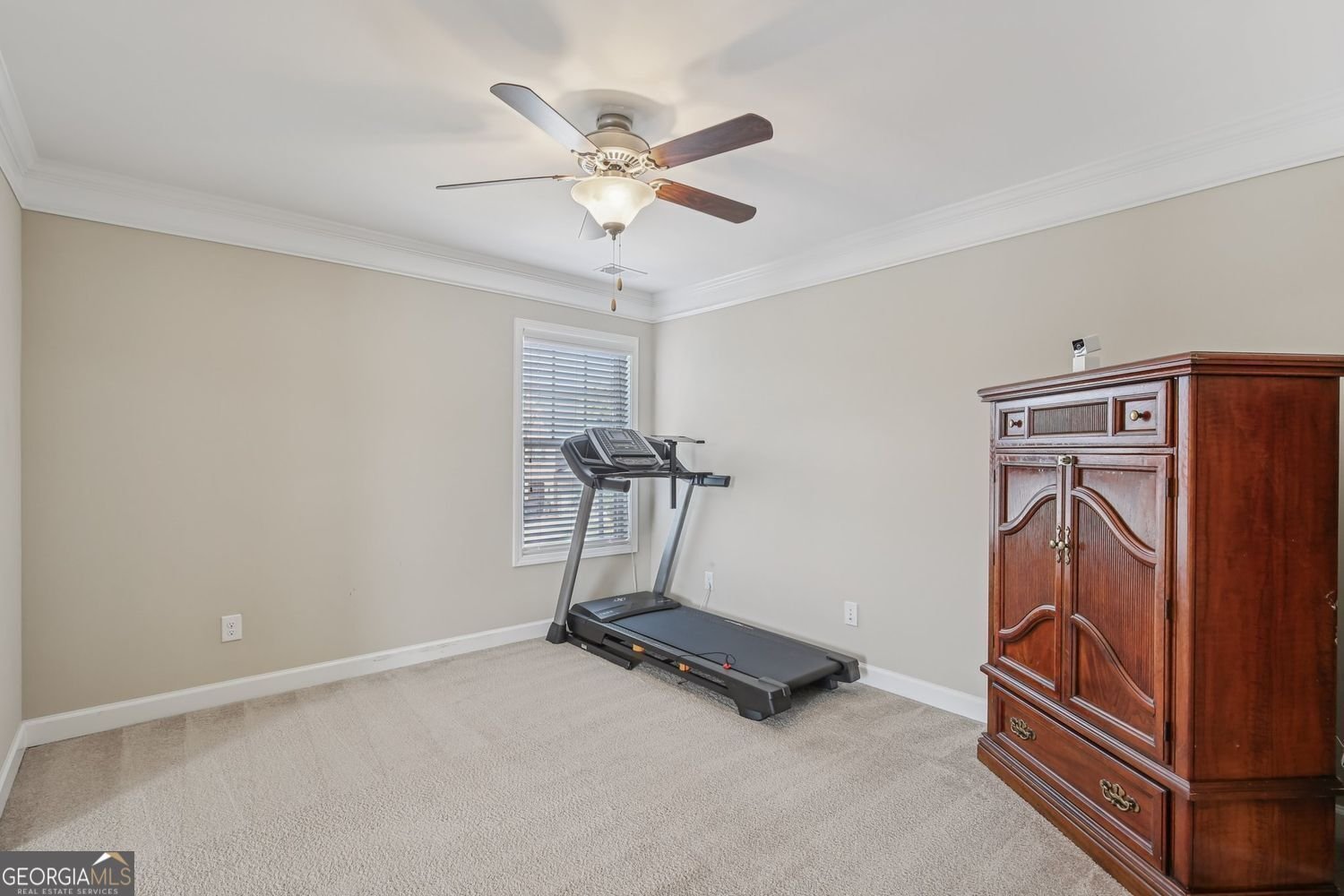 4480 Egret Avenue Cumming - 32