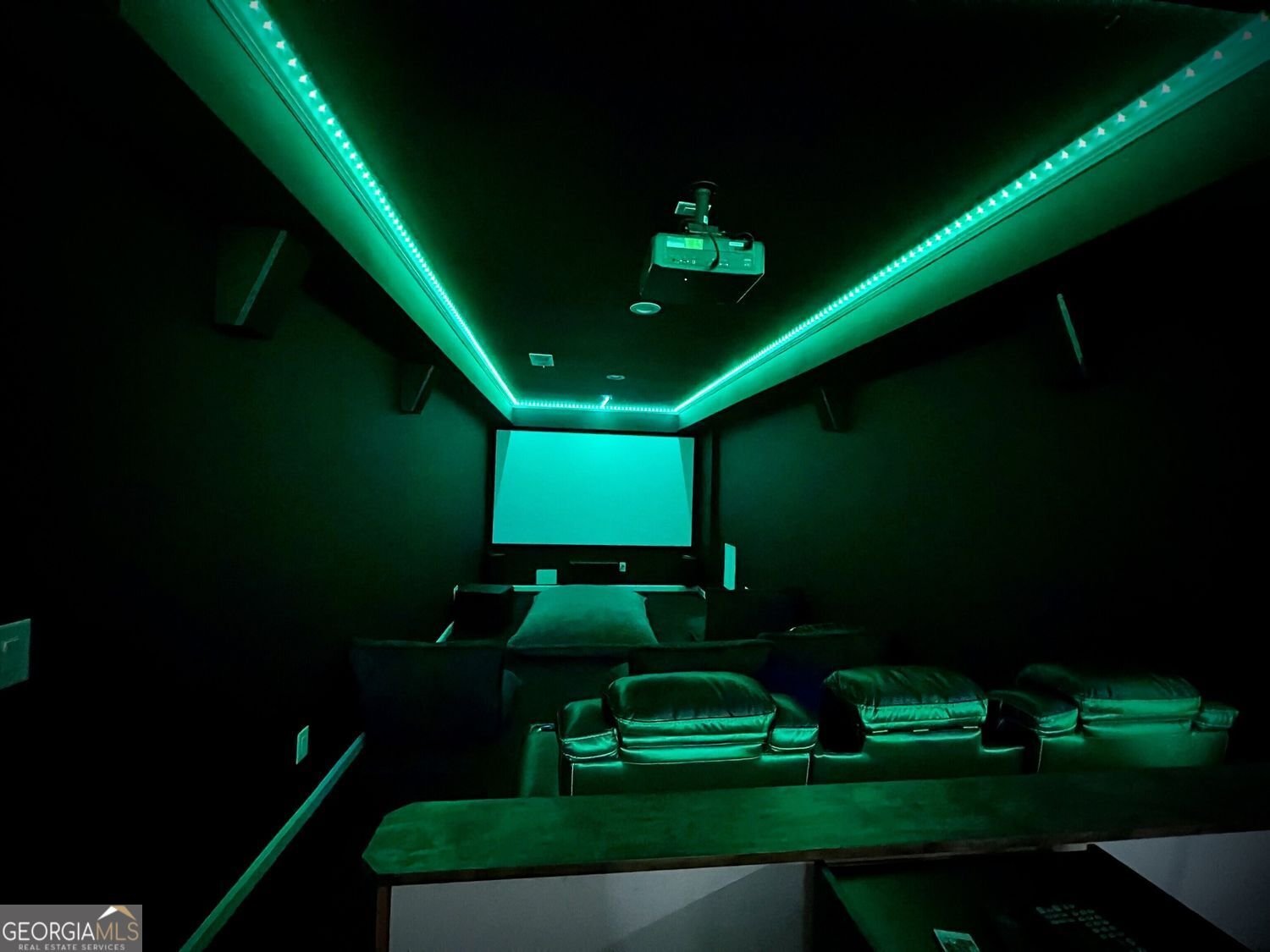 4480 Egret Avenue Cumming - 52