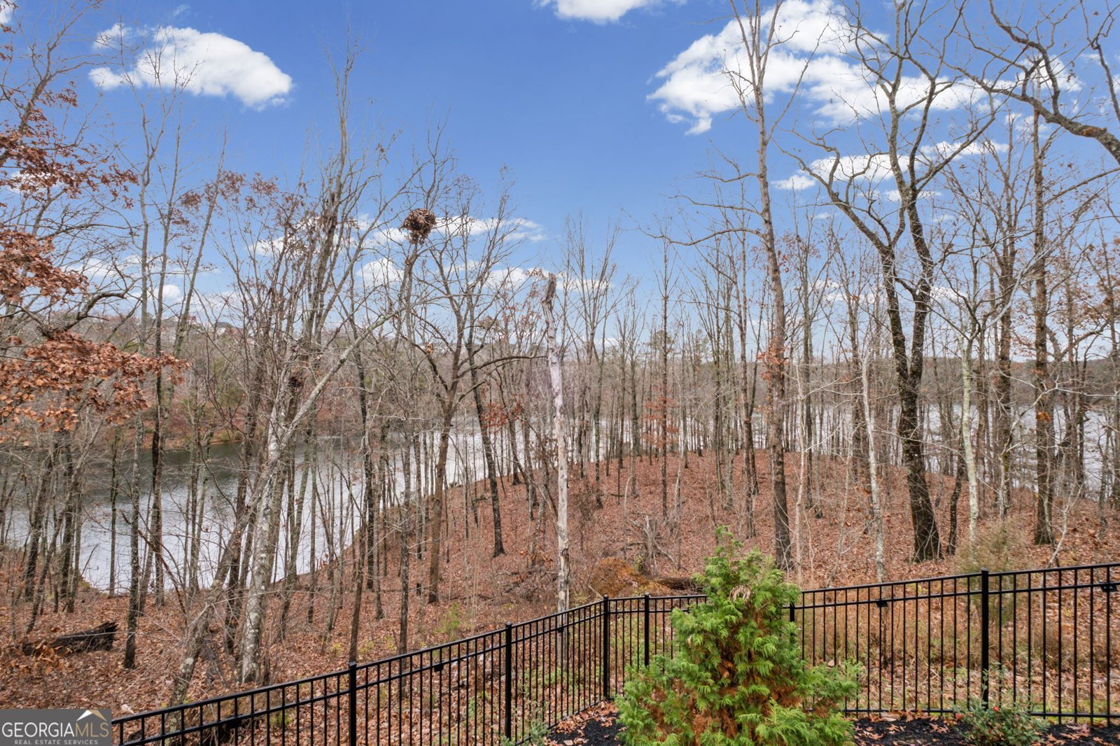 417 Solace Place Canton - 46