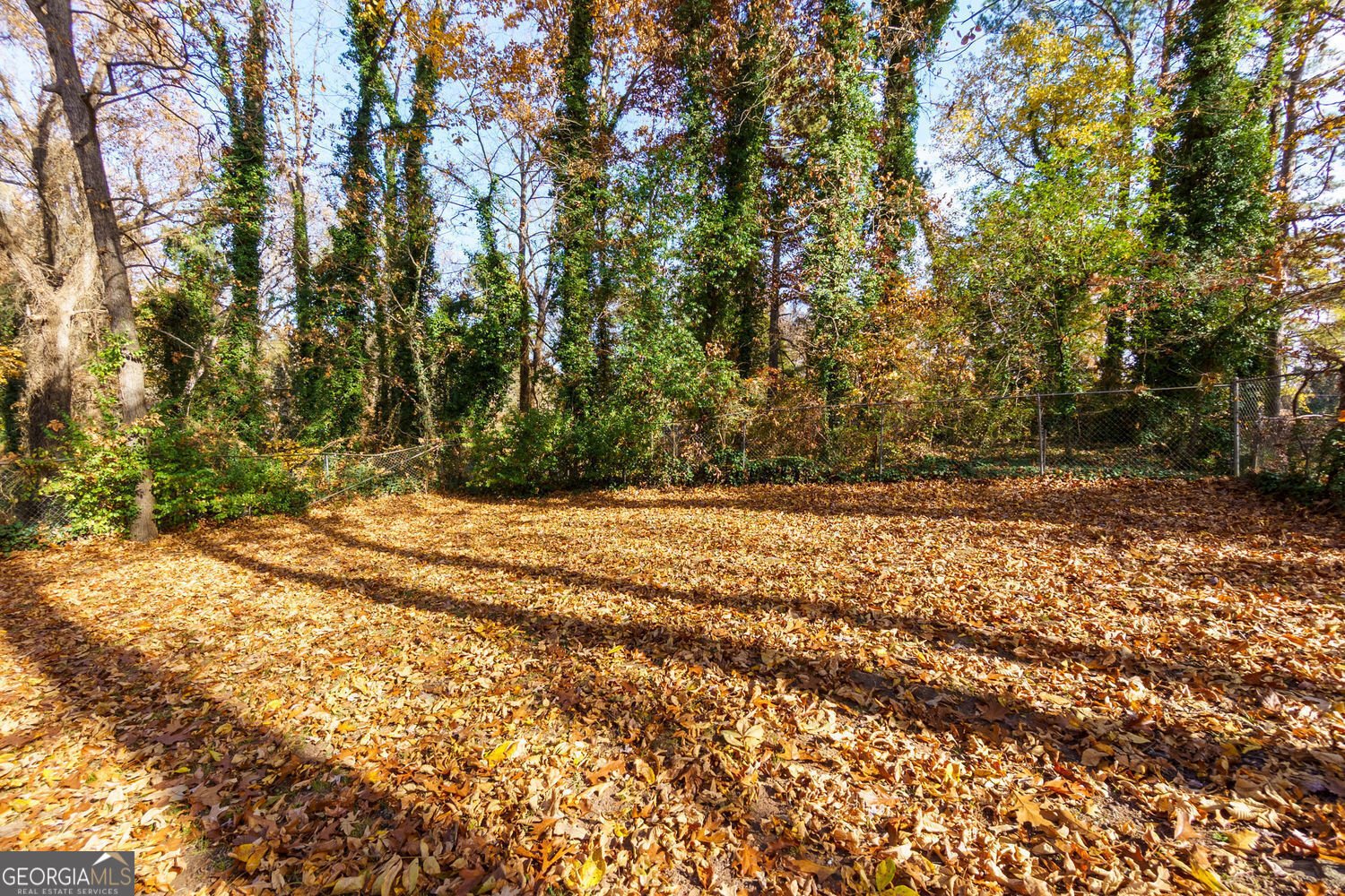 2228 Polar Rock Avenue Atlanta - 27