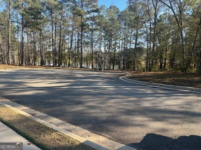 143 Buck Trail Griffin - 20