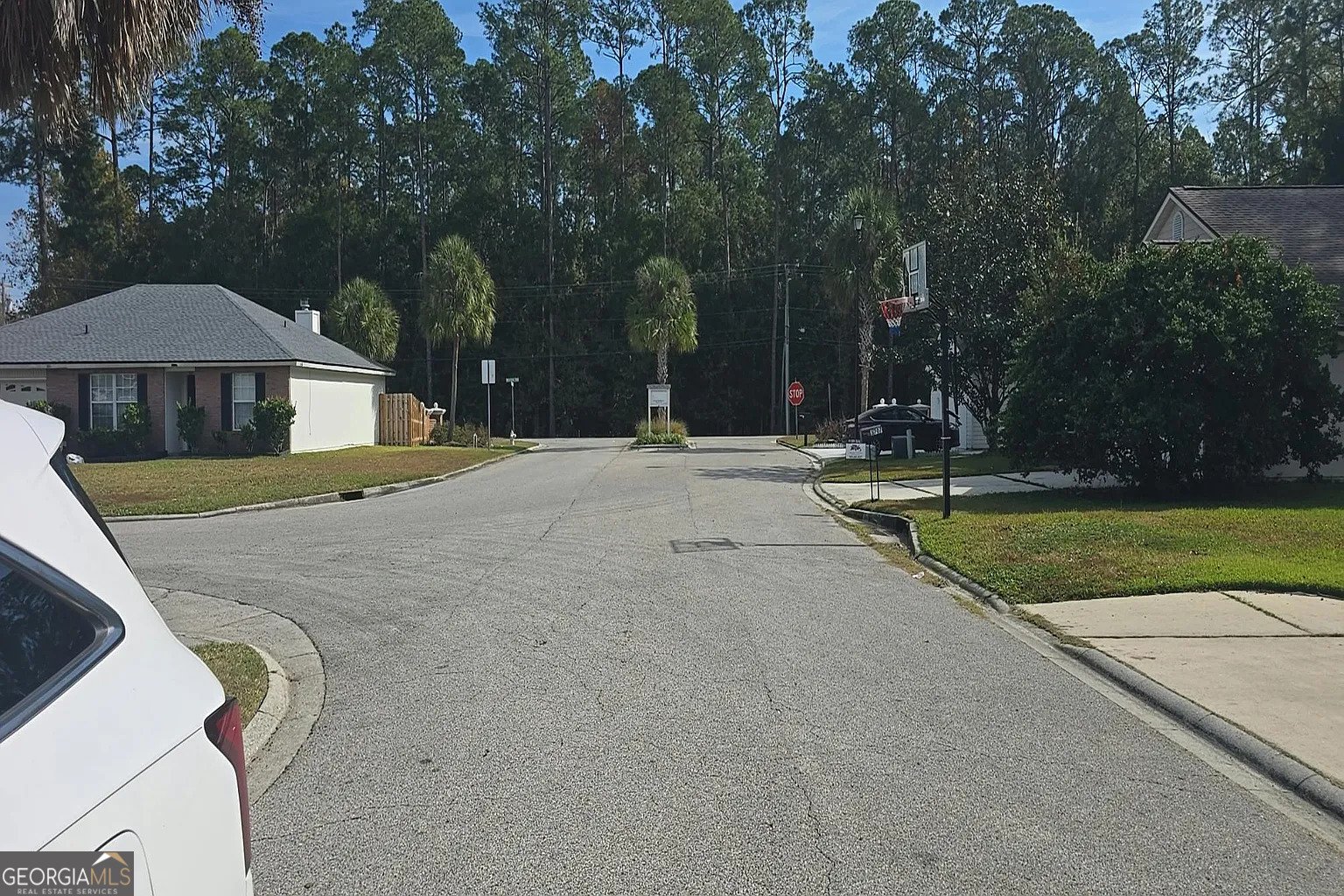 3711 Alcove Drive Middleburg - 5