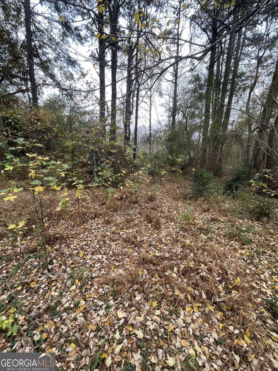 251 River Chase Drive Jonesboro - 12