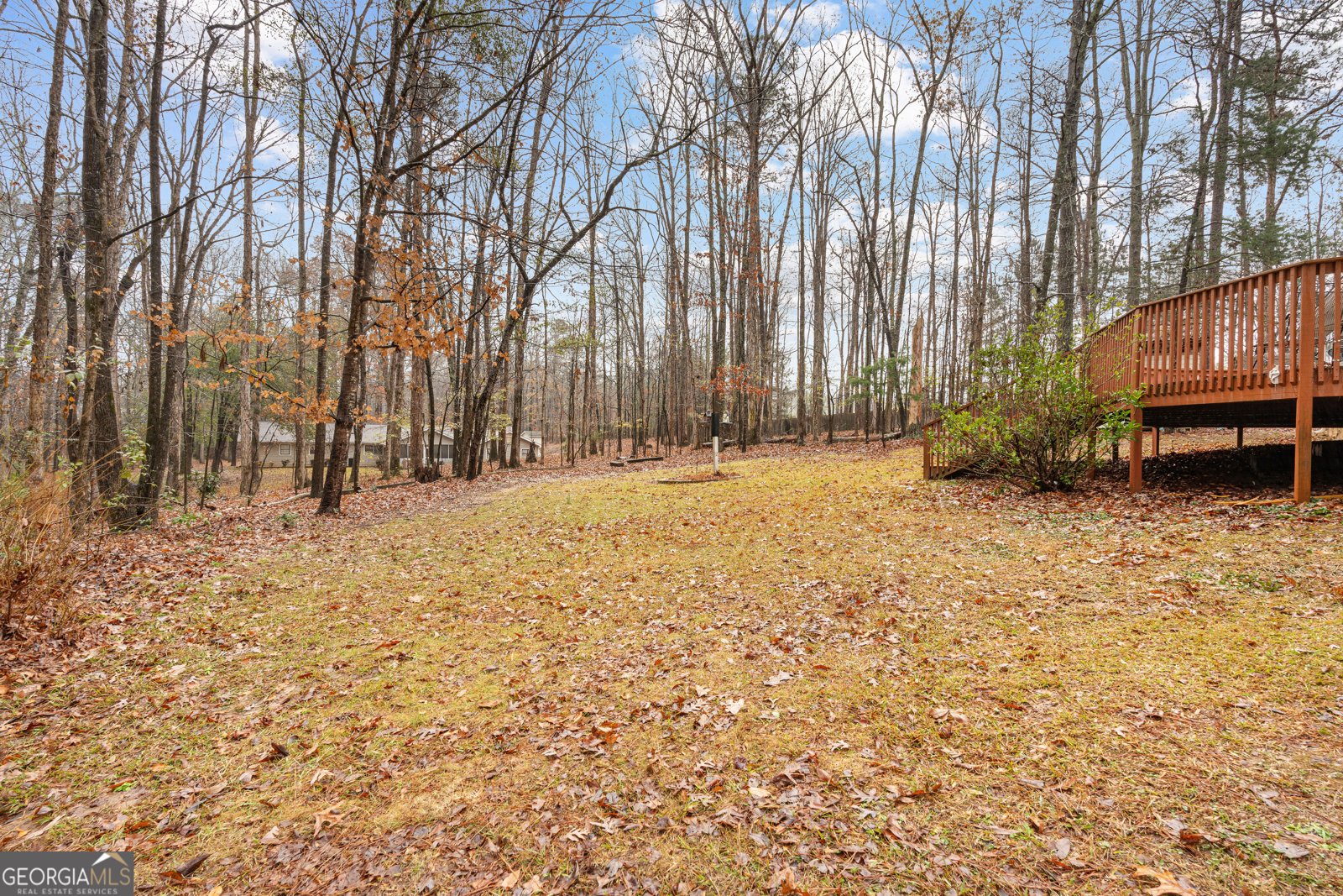 516 Old Senoia Road Fayetteville - 55