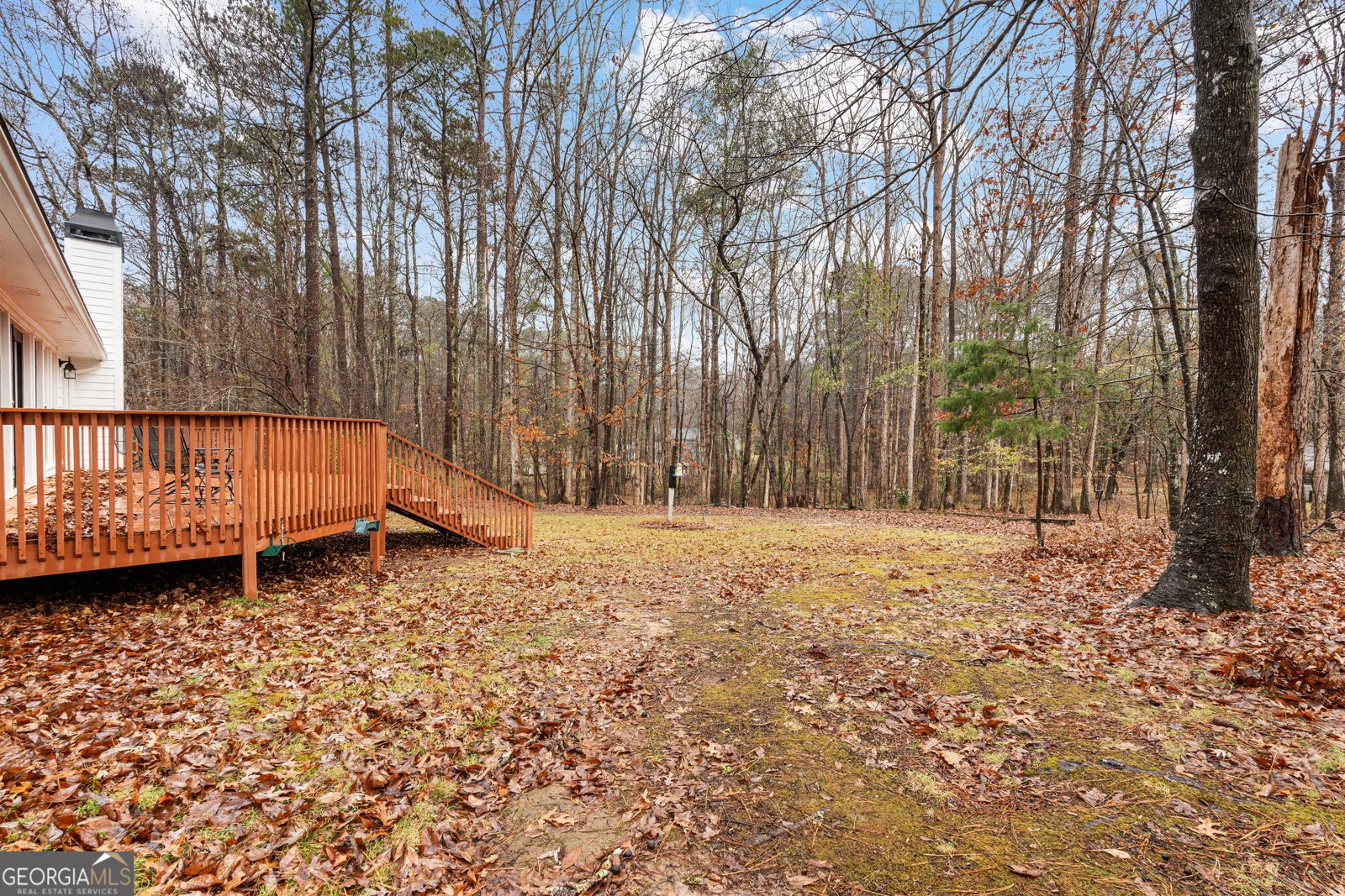 516 Old Senoia Road Fayetteville - 56