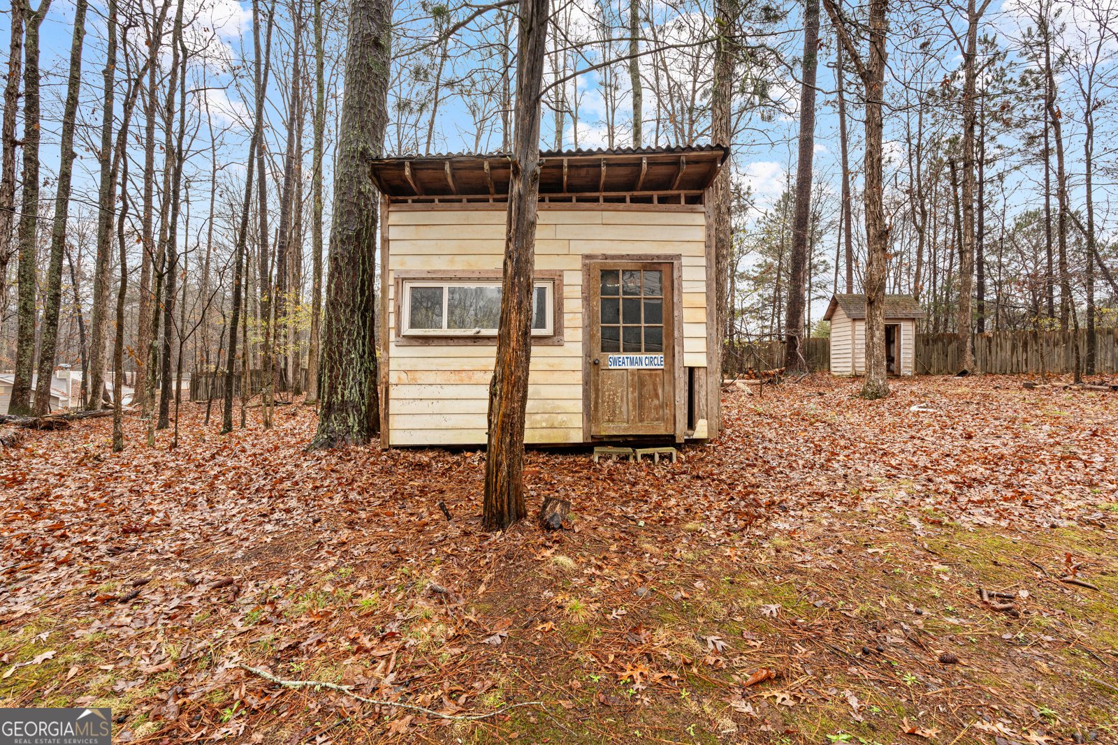 516 Old Senoia Road Fayetteville - 60