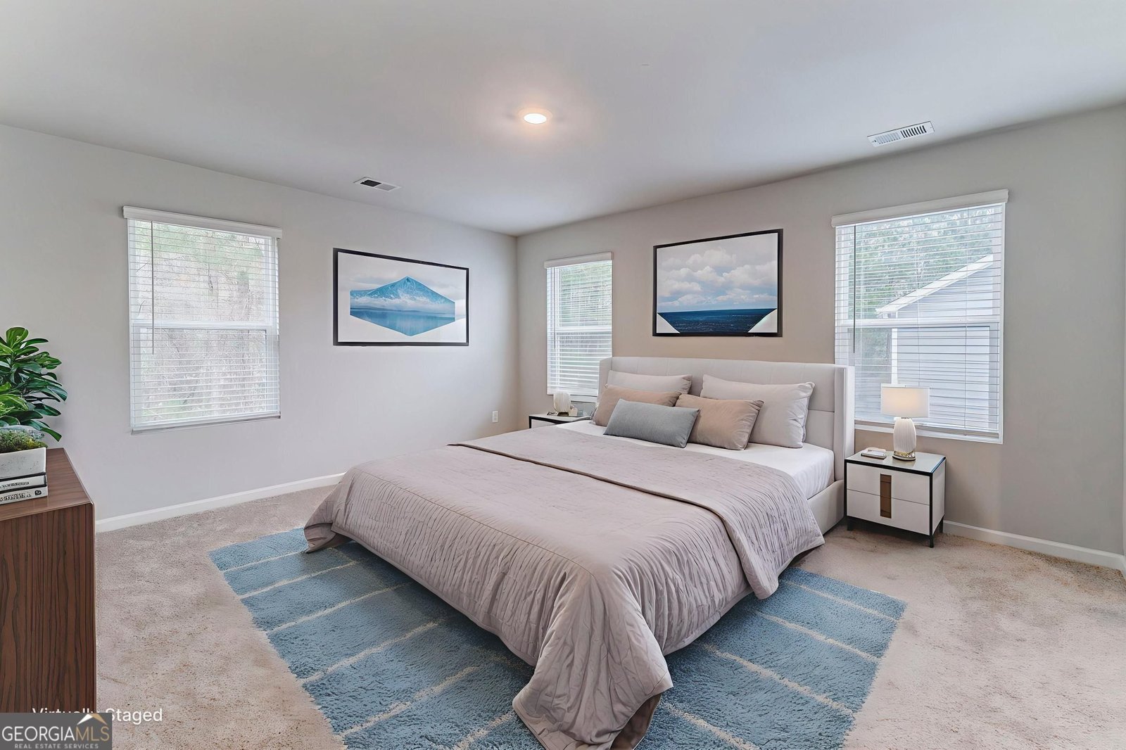 6597 Bluffview Drive Douglasville - 10