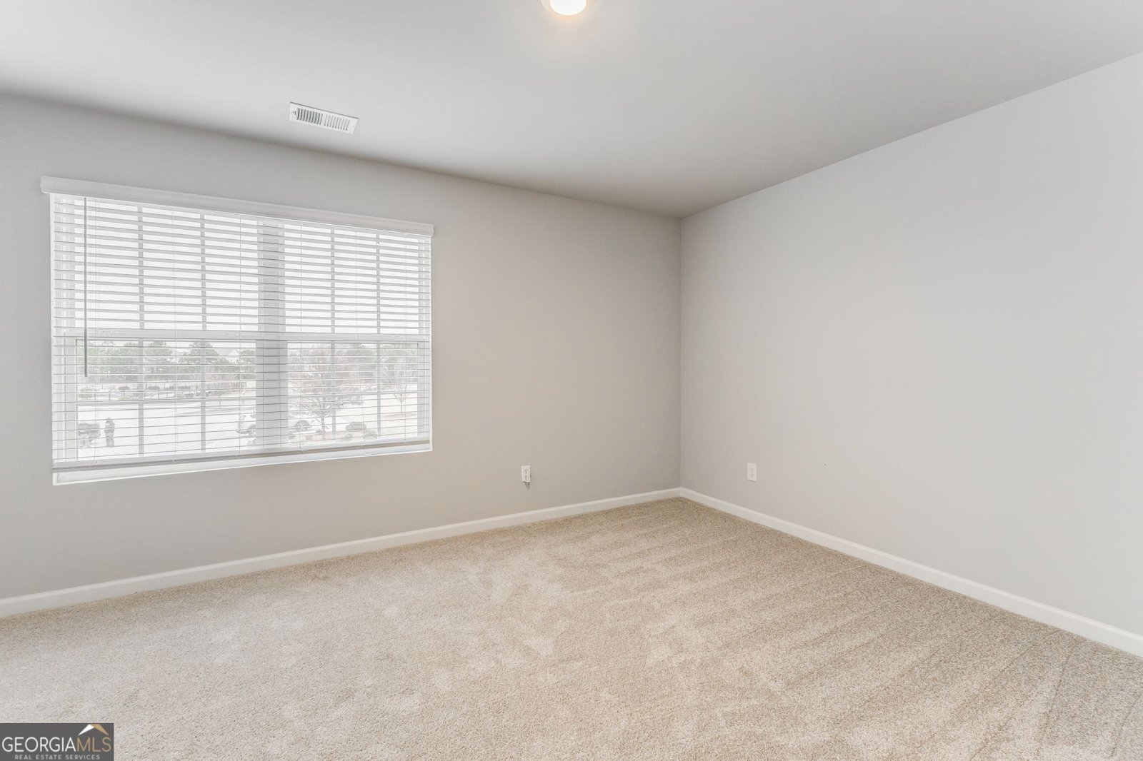 6597 Bluffview Drive Douglasville - 18