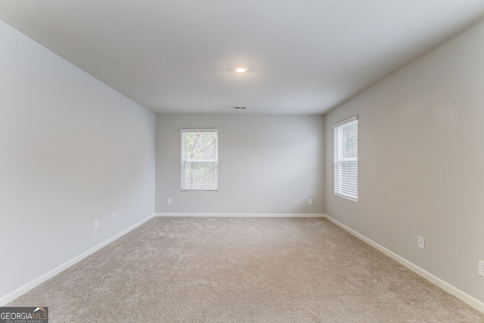 6597 Bluffview Drive Douglasville - 20